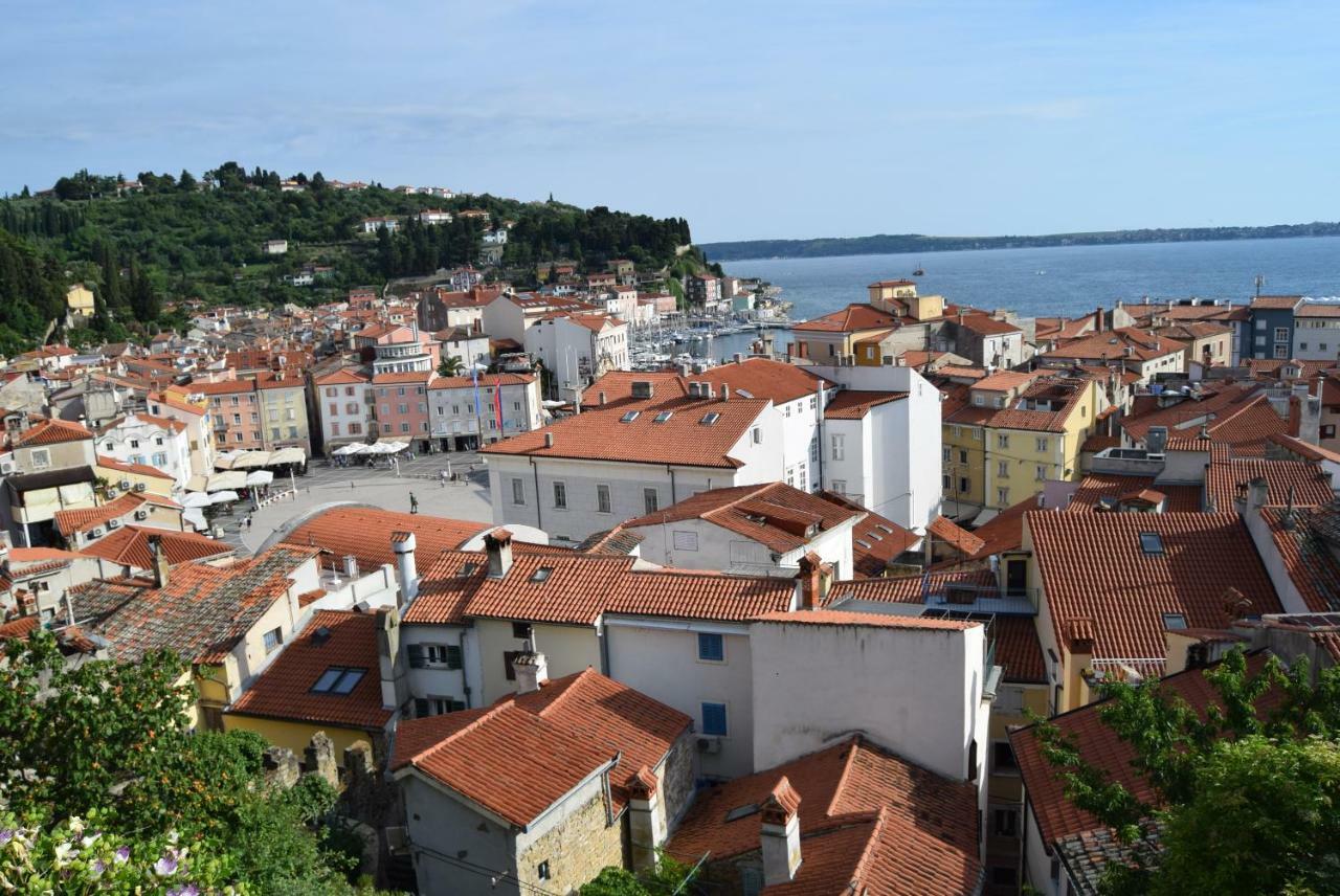 Traditional Piran Studio 外观 照片